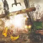 Mulching/Land Clearing