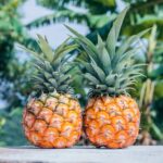 Dole Plantation Customer Testimonial