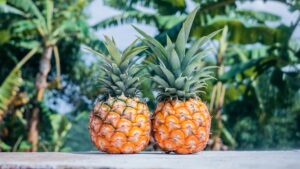 Dole Plantation Customer Testimonial